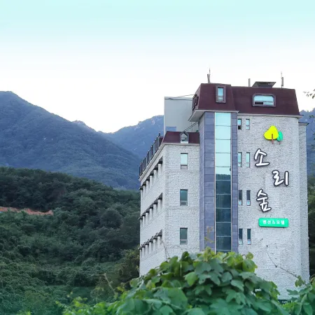 Hapcheon Sori Forest Pension