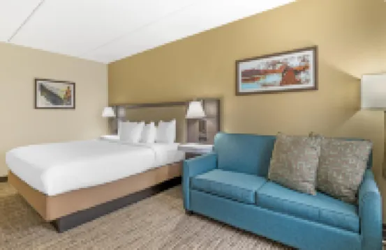 Best Western Holiday Lodge Hotels in 