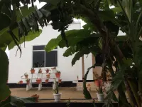 saadani pangani camps and tours - 5-Star