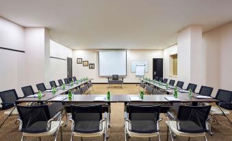 Ibis Amman