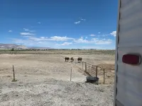 HN-RANCH