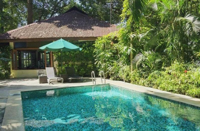 Ambong Rainforest Retreat photo 2