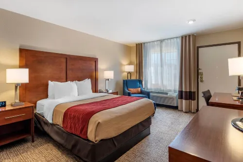 Comfort Inn & Suites - Wifi