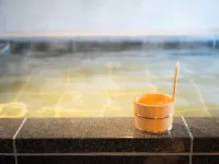 Superhotel Takamatsu Tamachi - Pemandian Air Panas