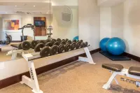 City Lodge Hotel Gqeberha - С тренажерным залом