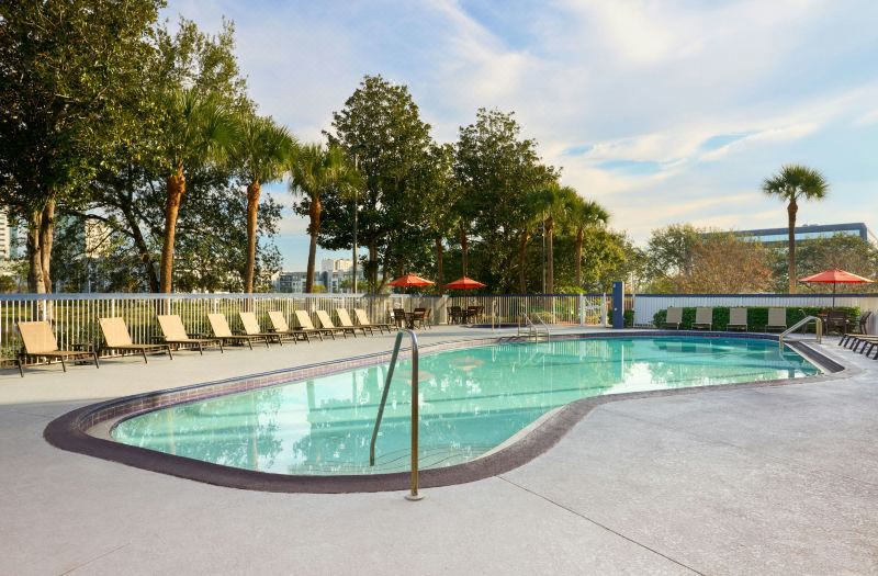 City Express by Marriott Orlando International Drive photo 2