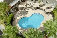 Residence Inn Tampa Suncoast Parkway at NorthPointe Village - Pool