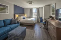 Scholar State College, Tapestry Collection by Hilton - 4 estrellas