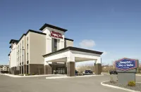 Hampton Inn & Suites St. Louis/Alton - Wifi