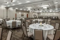 Hilton Garden Inn Dallas/Allen - Pet Friendly