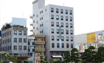 Terminal Hotel Matsuyama