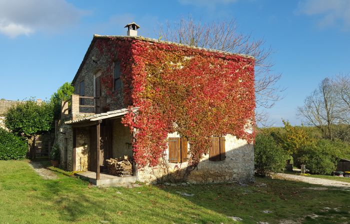 Silence and Relaxation in Countryside of Umbria