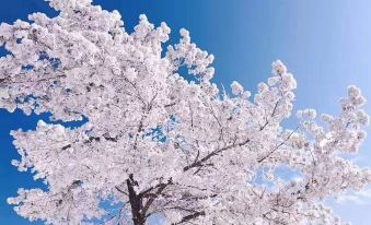 Jiatinglv Hotel (Changbai Mountain Gaoshan Garden)
