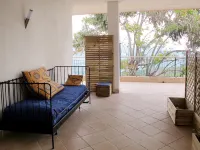 Arancio di Liguria (Pgi211)