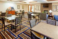 Holiday Inn Express & Suites Mount Airy by IHG Hotels in Pilot