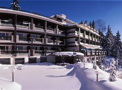 Hotel de la Foret