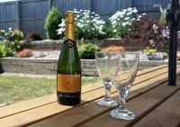 Coppins Park Hotels in East Williamston