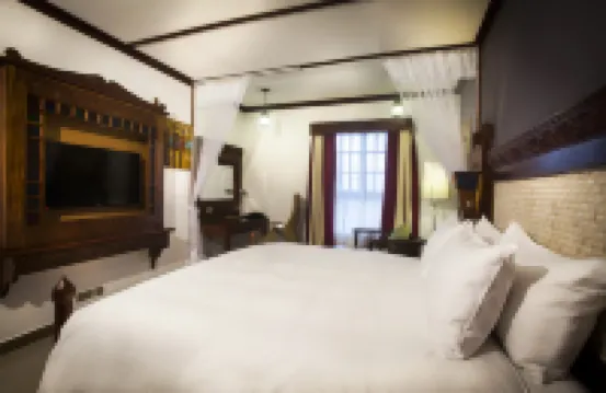 Spice Tree by Turaco