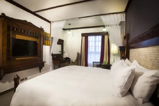 Spice Tree by Turaco