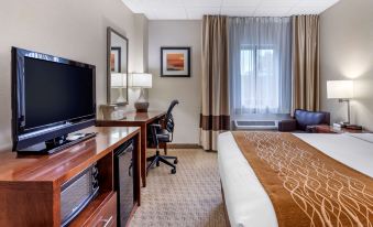 Comfort Inn Syosset-Long Island