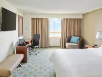 피에스타 아메리카나 레포르마