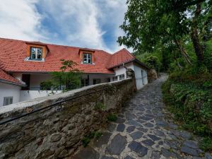 Penthouse With Private Loggia in the Historic Centre of D Rnstein