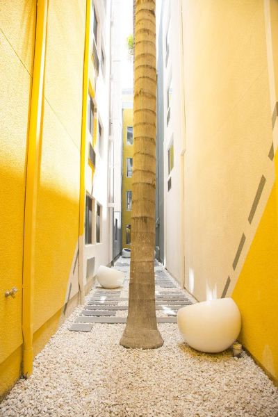 共有エリア ホテル Z - ア ピース オブ パイナップル ホスピタリティの写真