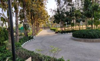 a paved path surrounded by trees and bushes , with a car parked in the distance at Ritz Resort