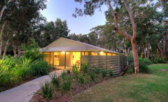 Port Stephens Koala Sanctuary