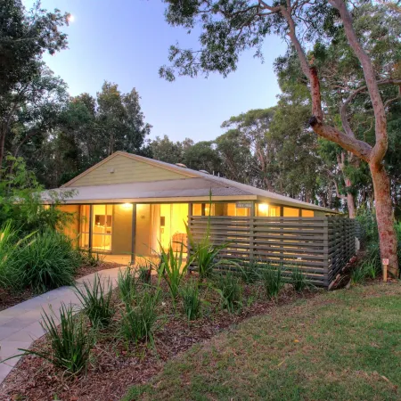 Port Stephens Koala Sanctuary
