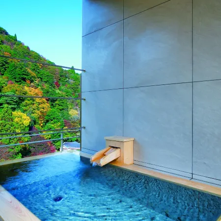 Arima Onsen Gekkoen Korokan