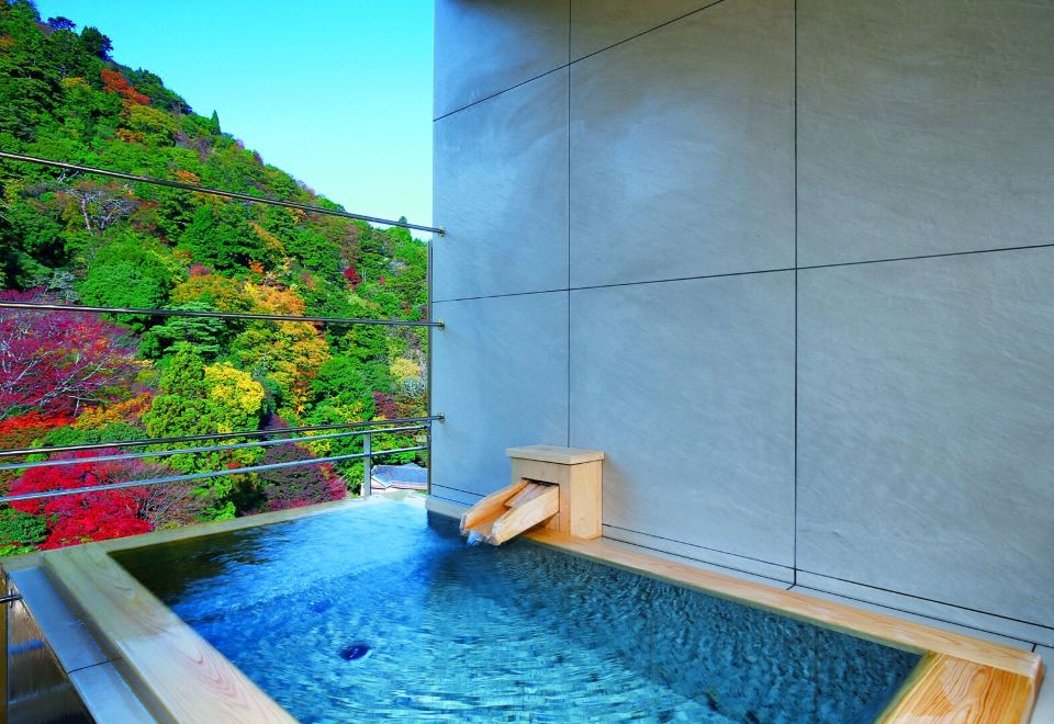 아리마 온센 겟코엔 고로칸 온천 시설