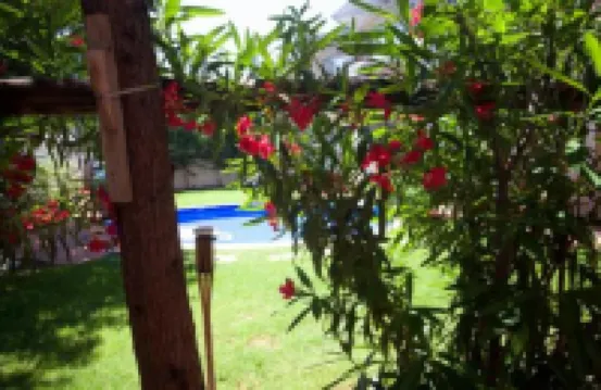 Aloha Luxury Apartments