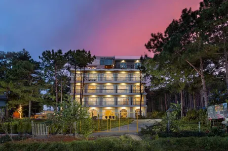 Romeo Juliet Dalat Resort Отели рядом с достопримечательностью «Truc Lam Temple»