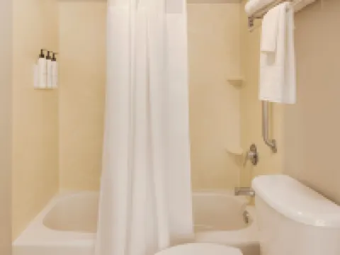 SpringHill Suites by Marriott Newark International Airport Hotels in Newark