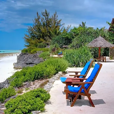 The Zanzibari