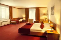 Hotel Singer Hotels in Ludvíkov
