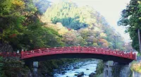 Pension Lambchop Nikko