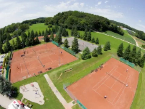 Hotel Grad - Terme Krka Hotels in Novo Mesto