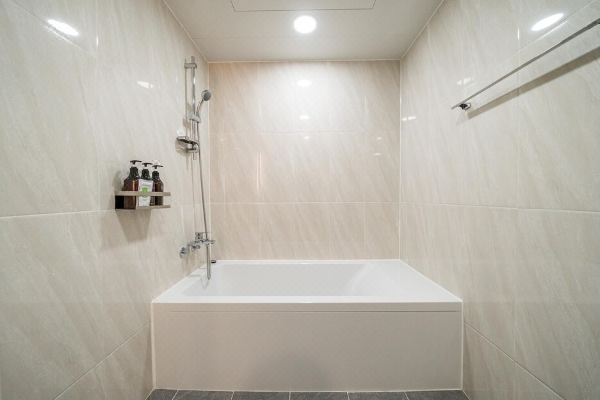 강남 봄 호텔(Gangnam Spring Hotel)_2