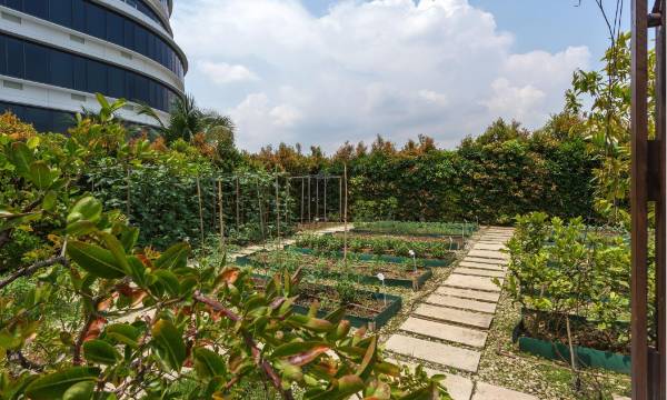 One Farrer Hotel
