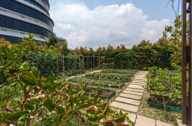 One Farrer Hotel