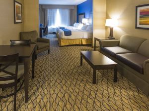 HOLIDAY INN EXPRESS & SUITES THUNDER BAY