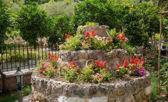 Villa Haroula - Housity