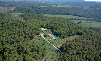 La Casetta Nel Bosco