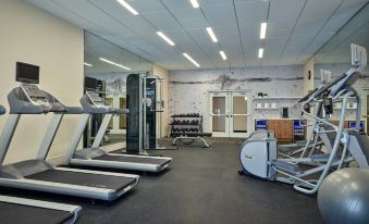 a well - equipped gym with various exercise equipment , such as treadmills , weight machines , and stationary bikes at Delta Hotels Chicago Willowbrook