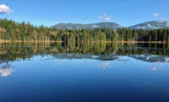 a serene lake surrounded by trees and mountains , with the reflection of the sky in the water at Beaver Lake Resort