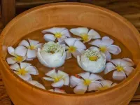 Chi Samui Resort - spa