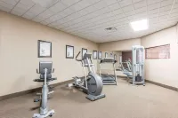 Wingate by Wyndham New Braunfels - Gym