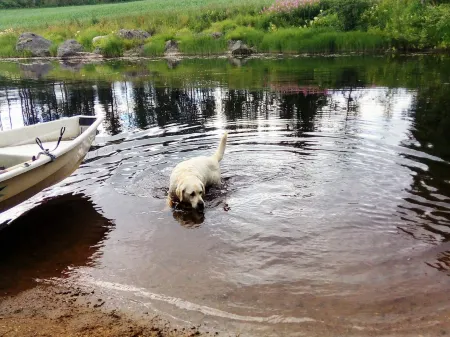 Sillankorva Отели в г. Lapinlahti